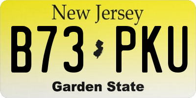 NJ license plate B73PKU