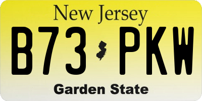 NJ license plate B73PKW
