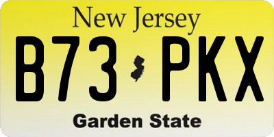 NJ license plate B73PKX