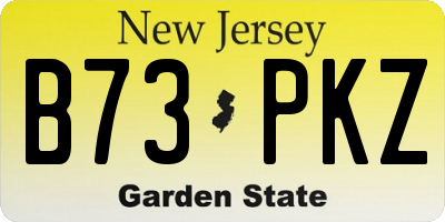 NJ license plate B73PKZ