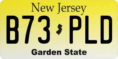 NJ license plate B73PLD