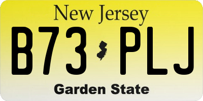 NJ license plate B73PLJ
