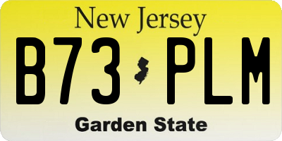 NJ license plate B73PLM