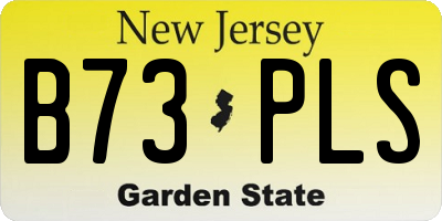 NJ license plate B73PLS