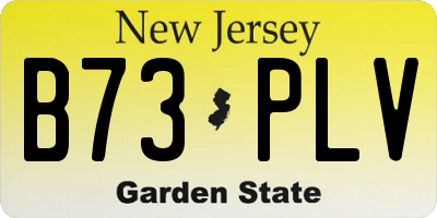 NJ license plate B73PLV