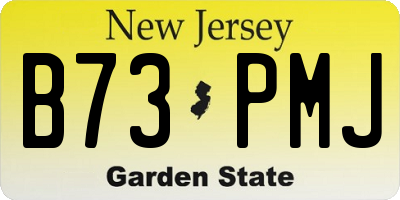NJ license plate B73PMJ