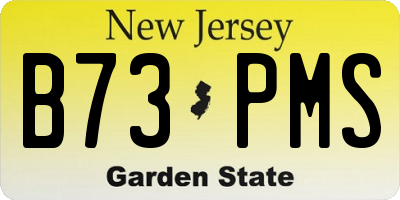 NJ license plate B73PMS