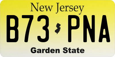 NJ license plate B73PNA