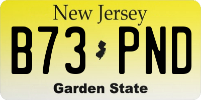 NJ license plate B73PND