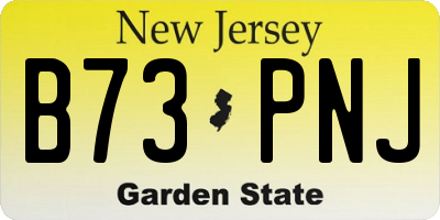 NJ license plate B73PNJ