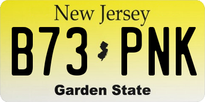NJ license plate B73PNK