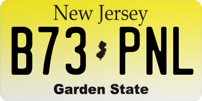 NJ license plate B73PNL
