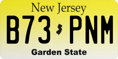 NJ license plate B73PNM