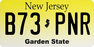 NJ license plate B73PNR