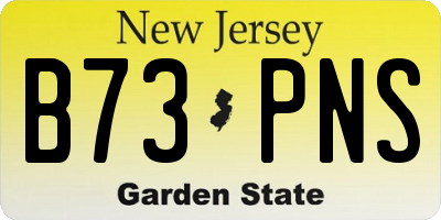 NJ license plate B73PNS