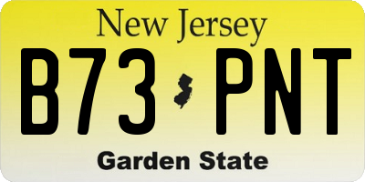 NJ license plate B73PNT