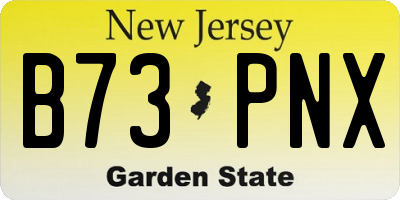 NJ license plate B73PNX