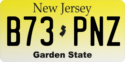 NJ license plate B73PNZ