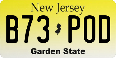 NJ license plate B73POD