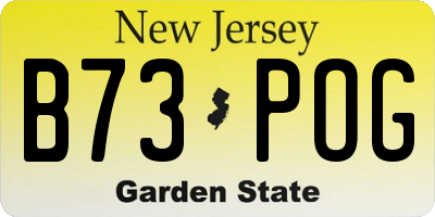 NJ license plate B73POG