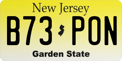 NJ license plate B73PON