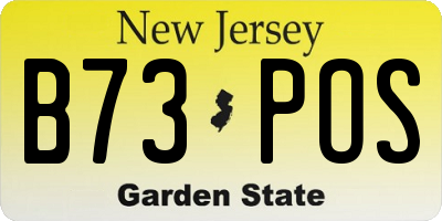 NJ license plate B73POS
