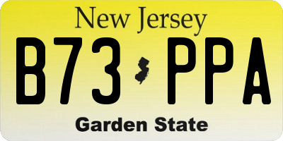 NJ license plate B73PPA