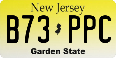 NJ license plate B73PPC