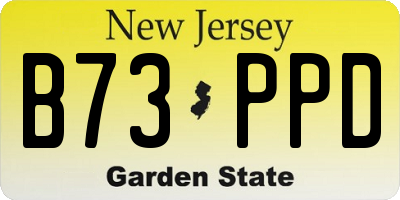 NJ license plate B73PPD