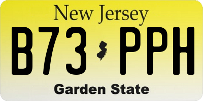 NJ license plate B73PPH