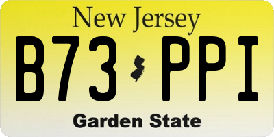 NJ license plate B73PPI