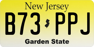 NJ license plate B73PPJ