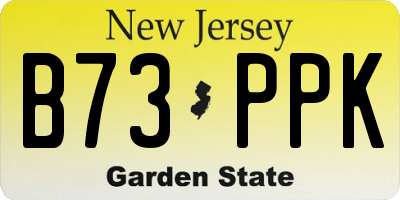 NJ license plate B73PPK
