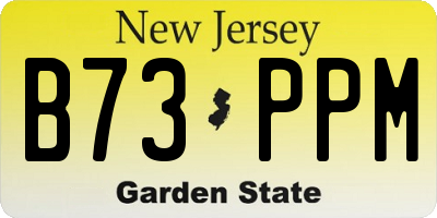 NJ license plate B73PPM