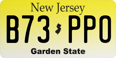 NJ license plate B73PPO