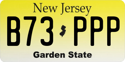 NJ license plate B73PPP