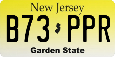 NJ license plate B73PPR