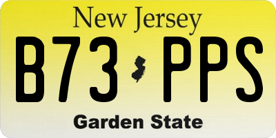 NJ license plate B73PPS