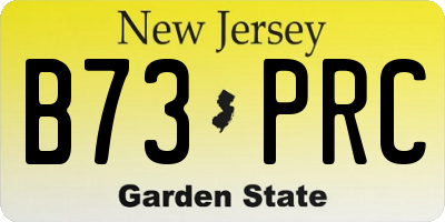 NJ license plate B73PRC