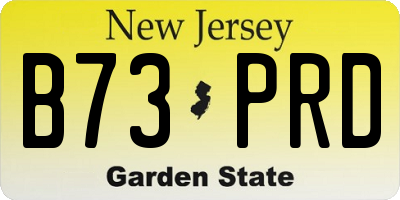 NJ license plate B73PRD