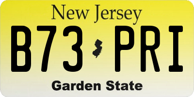 NJ license plate B73PRI