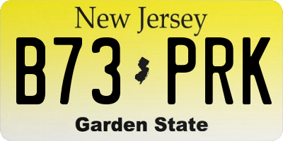 NJ license plate B73PRK