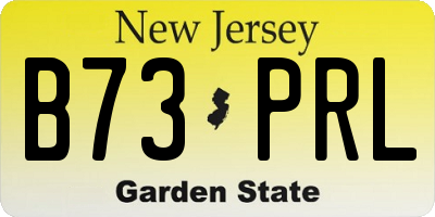 NJ license plate B73PRL