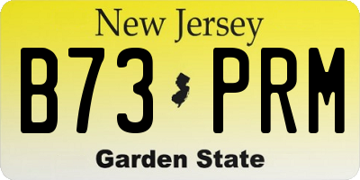 NJ license plate B73PRM