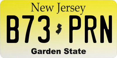 NJ license plate B73PRN