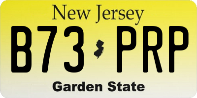 NJ license plate B73PRP