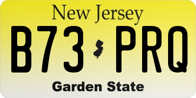 NJ license plate B73PRQ