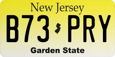 NJ license plate B73PRY