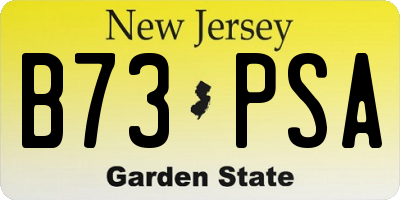 NJ license plate B73PSA