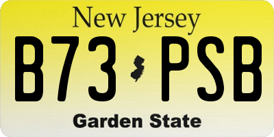 NJ license plate B73PSB